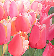 Flower paintings & flower giclee prints